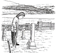 51.gif (21968 �ֽ�)